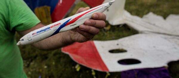 Lieu du crash du vol MH17 - Sputnik Afrique