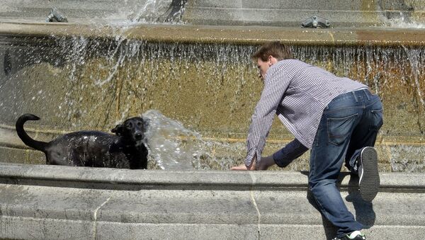 Un jeune homme refroidit son chien dans une fontaine à Place Royale à Nantes le 30 juin 2015 - Sputnik Afrique