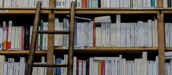 Une bibliothèque (image d'illustration) Une bibliothèque (image d'illustration) - Sputnik Afrique