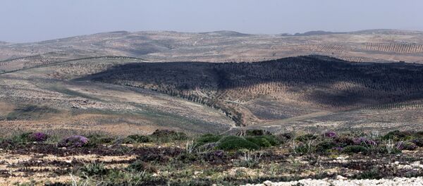 عرسال اللبنانية - Sputnik Afrique