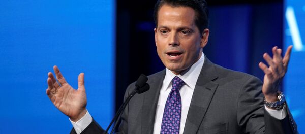Anthony Scaramucci - Sputnik Afrique