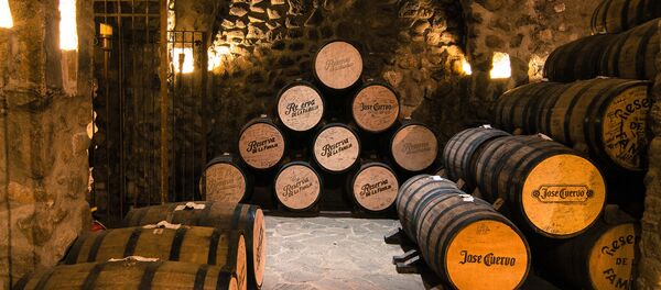 Jose Cuervo - Sputnik Afrique