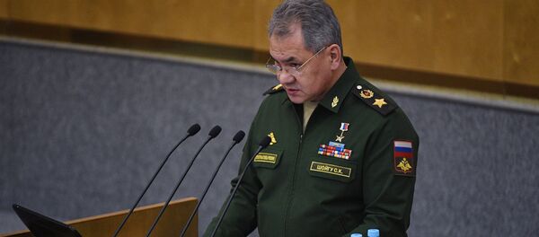 Russian Defense Minister Sergei Shoigu speaks at the lower parliament house's plenary meeting - Sputnik Afrique