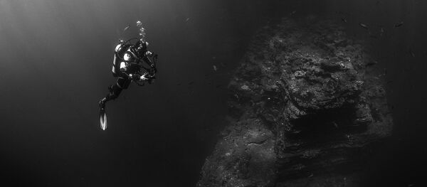 plongeur - Sputnik Afrique