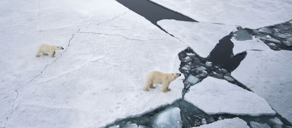 Арктическая экспедиция Кара-зима 2015 - Sputnik Afrique