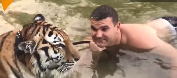 Un homme baigne un tigre dans les eaux du Don Un homme baigne un tigre dans les eaux du Don - Sputnik Afrique