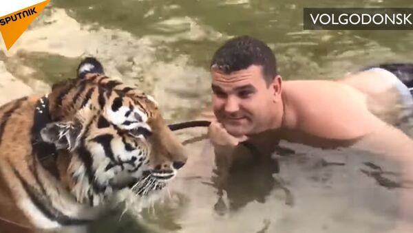 Un homme baigne un tigre dans les eaux du Don - Sputnik Afrique