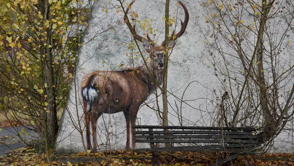 Tchernobyl - Sputnik Afrique
