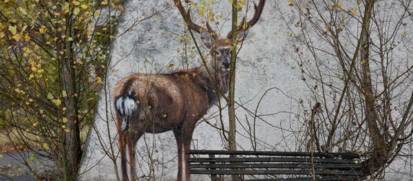 Tchernobyl - Sputnik Afrique
