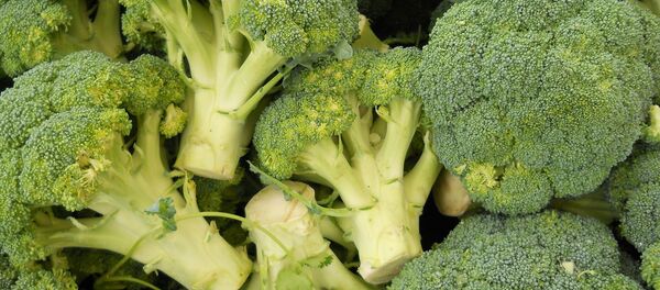 Broccoli - Sputnik Afrique