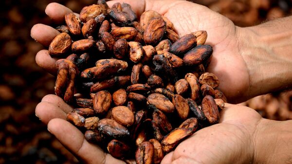 Cacao (image d'illustration) - Sputnik Afrique