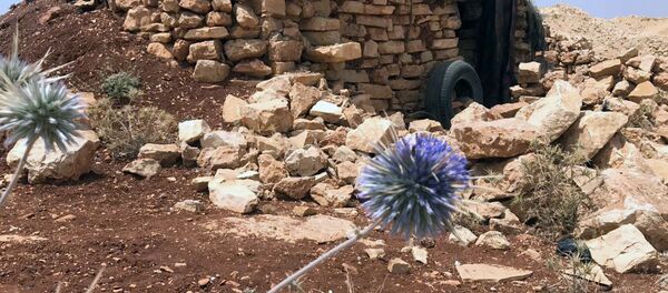 Место базирования террористов в горном районе Эрсаль на ливано-сирийской границе - Sputnik Afrique