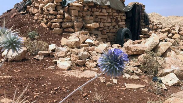 Место базирования террористов в горном районе Эрсаль на ливано-сирийской границе - Sputnik Afrique