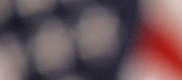 Прием в посольстве США в честь Дня независимости - Sputnik Afrique