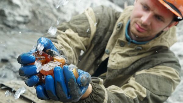 L’extraction de l’ambre dans la banlieue de Kaliningrad - Sputnik Afrique