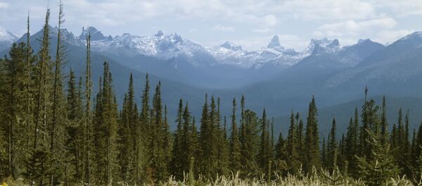 Yergaki range in the West Sayany mountain range, southern Siberia. (File) Yergaki range in the West Sayany mountain range, southern Siberia. (File) - Sputnik Afrique