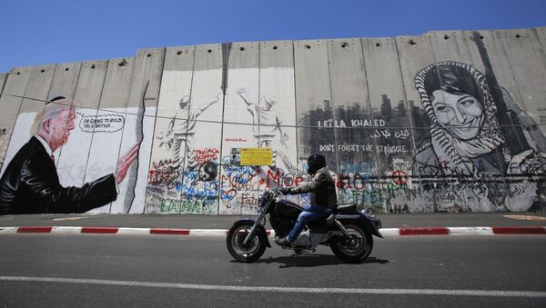 Des graffitis de Donald Trump dessinés sur la barrière de séparation israélienne - Sputnik Afrique