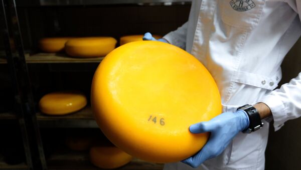 Camembert cheese production in Krasnodar Territory - Sputnik Afrique
