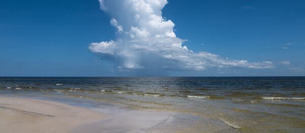 Gulf of Mexico - Sputnik Afrique