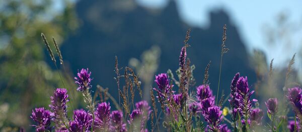 Karadag nature reserve in Crimea - Sputnik Afrique