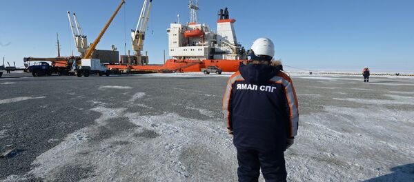 Le port maritime de Sabetta, dans le district autonome des Nenets du Yamal - Sputnik Afrique
