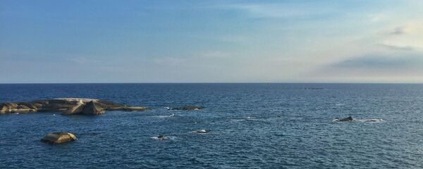 Mer de Chine méridionale - Sputnik Afrique