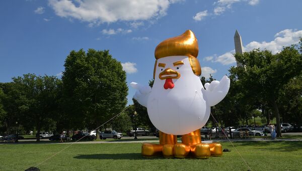un poulet gonflable géant devant la Maison Blanche - Sputnik Afrique