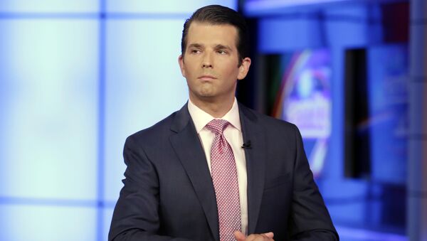 In this July 11, 2017, photo, Donald Trump Jr. is interviewed by host Sean Hannity on the Fox News Channel television program - Sputnik Afrique