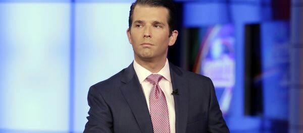 In this July 11, 2017, photo, Donald Trump Jr. is interviewed by host Sean Hannity on the Fox News Channel television program - Sputnik Afrique