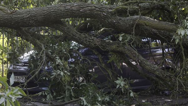 Broken trees lay on car on a street in Warsaw, Poland after a heavy storm - Sputnik Afrique