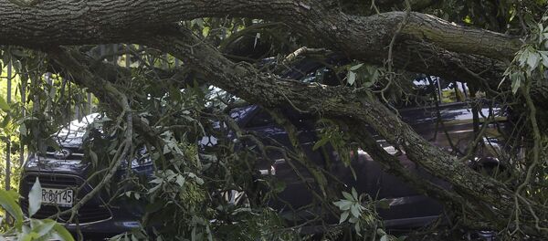 Broken trees lay on car on a street in Warsaw, Poland after a heavy storm - Sputnik Afrique