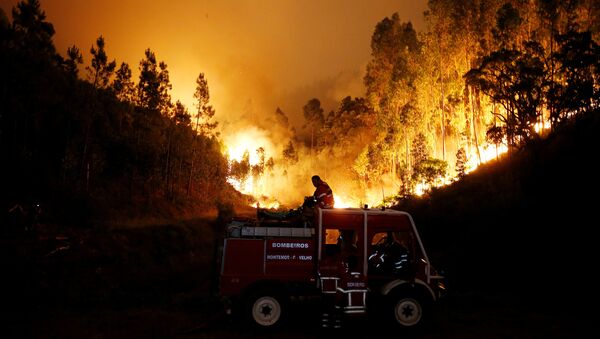 Incendio en Portugal - Sputnik Afrique
