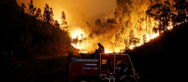 Incendio en Portugal - Sputnik Afrique
