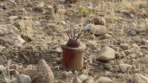 Une mine anti-personnel  - Sputnik Afrique