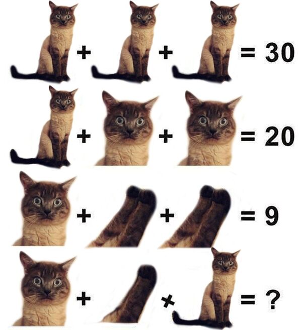 Un problème de maths pour enfants qui a pour sujet les parties du corps d'un chat Un problème de maths pour enfants qui a pour sujet les parties du corps d'un chat - Sputnik Afrique