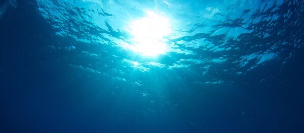 L'océan près de l'île de Kuchino-shima - Sputnik Afrique