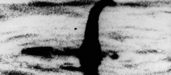 Photo de  fichier non daté d'une forme d'ombre ressemblant au monstre du Loch Ness - Sputnik Afrique