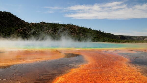 Thermal pool at Yellowstone National Park, Wyoming - Sputnik Afrique