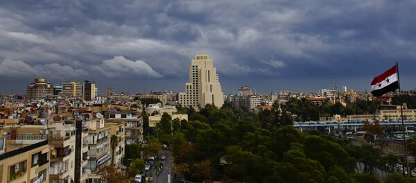 Damas - Sputnik Afrique