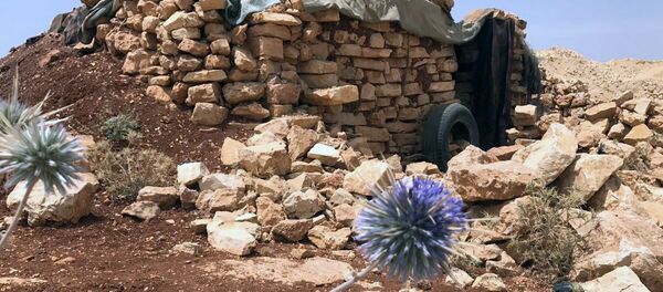 Место базирования террористов в горном районе Эрсаль на ливано-сирийской границе - Sputnik Afrique