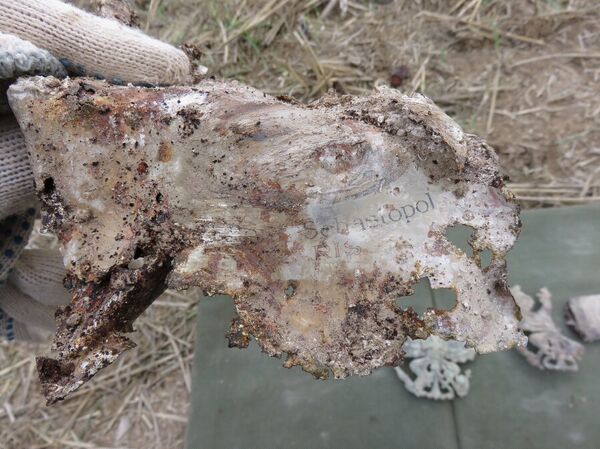 Fouilles dans la Marne - Sputnik Afrique