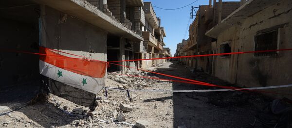 Ситуация в Пальмире Ситуация в Пальмире - Sputnik Afrique