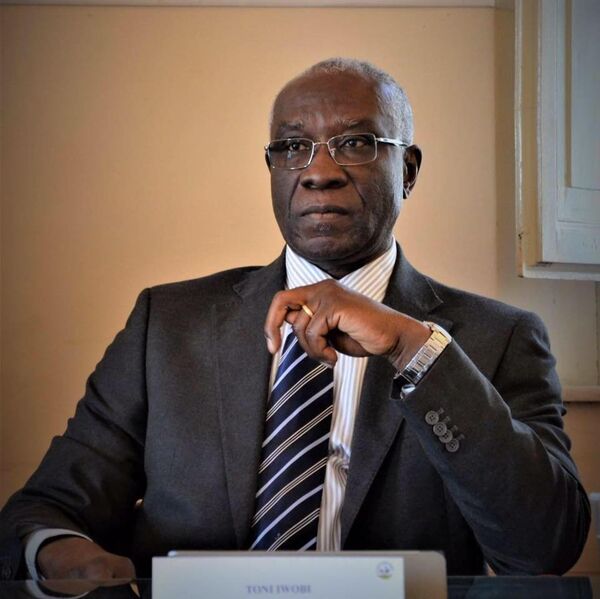 Toni Iwobi - Sputnik Afrique