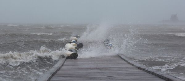 Irma Irma - Sputnik Afrique