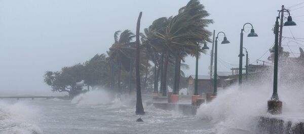 L'ouragan Irma ravage à Porto Rico - Sputnik Afrique
