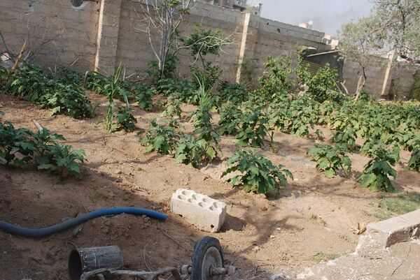 Situation à Deir ez-Zor - Sputnik Afrique