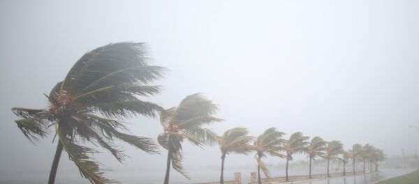 l’ouragan Irma - Sputnik Afrique