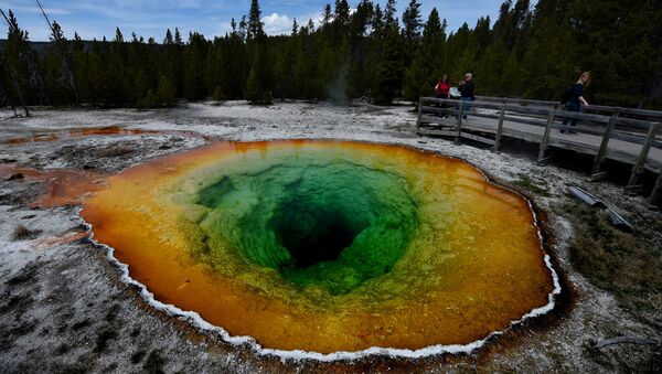 le parc national de Yellowstone aux États-Unis - Sputnik Afrique