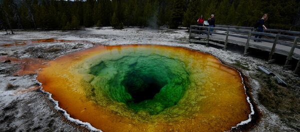 le parc national de Yellowstone aux États-Unis - Sputnik Afrique