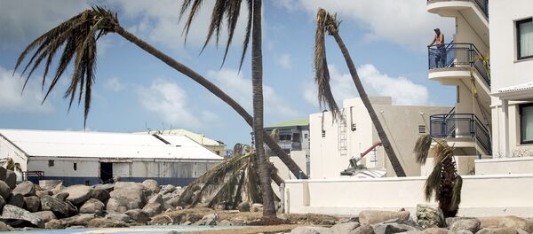 This photo provided by the Dutch Defense Ministry a resident surveys the damage done by the passing of Hurricane Irma, in Dutch Caribbean St. Maarten, on Sept. 8, 2017. This photo provided by the Dutch Defense Ministry a resident surveys the damage done by the passing of Hurricane Irma, in Dutch Caribbean St. Maarten, on Sept. 8, 2017. - Sputnik Afrique